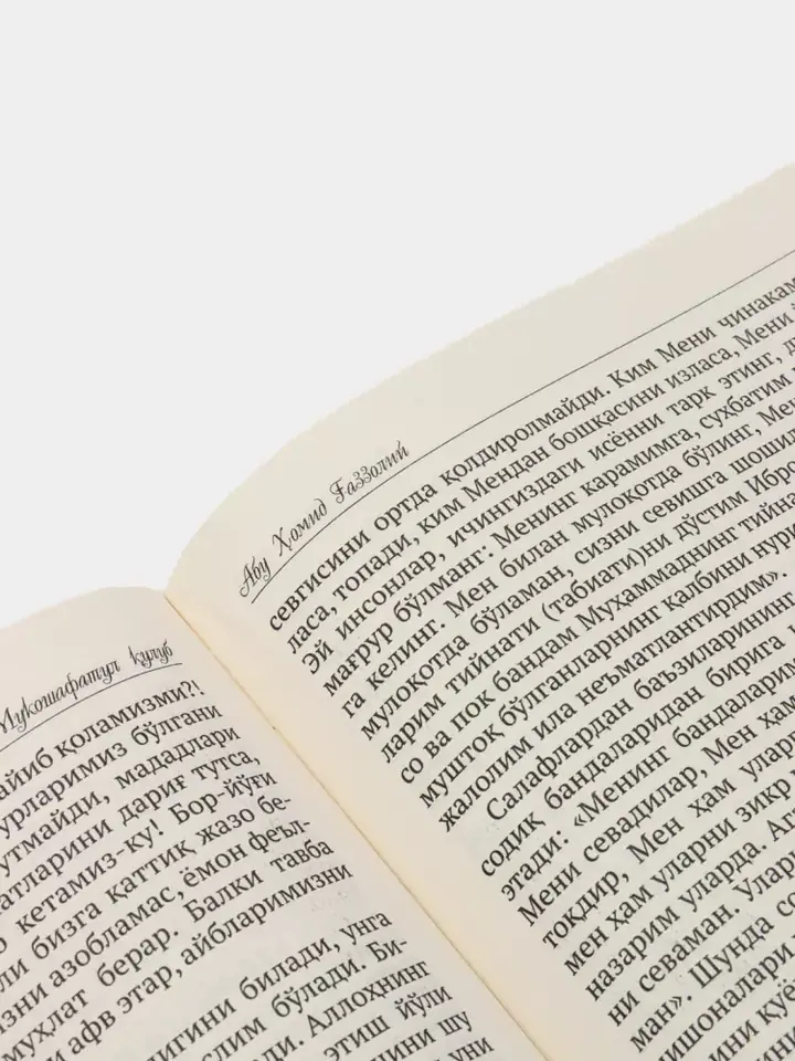 Вид книги сбоку с указанием автора