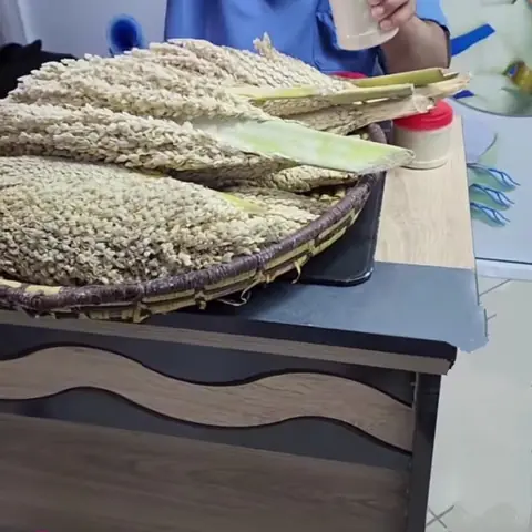 Пыльца финиковой пальмы для репродуктивного здоровья