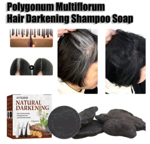 Oqargan sochlarni qoraytirish uchun malhamli sovun NATURAL DARKENING